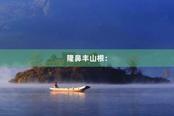 隆鼻丰山根：