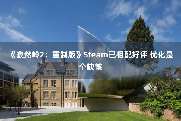 《寂然岭2：重制版》Steam已相配好评 优化是个缺憾