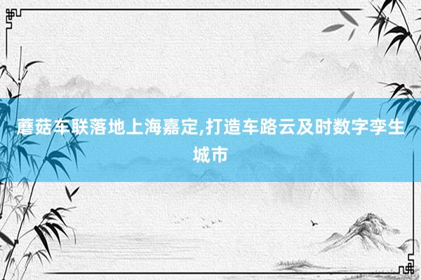 蘑菇车联落地上海嘉定,打造车路云及时数字孪生城市