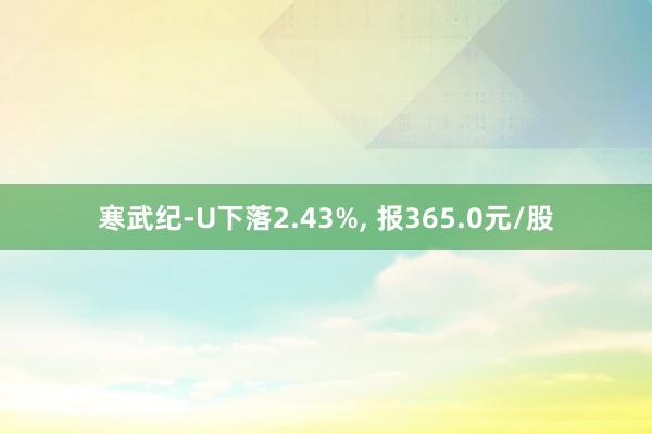 寒武纪-U下落2.43%, 报365.0元/股