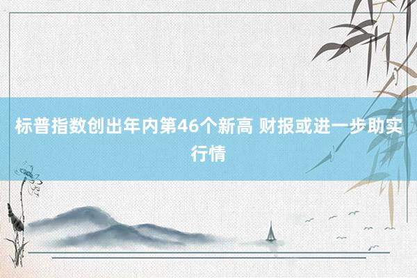 标普指数创出年内第46个新高 财报或进一步助实行情